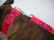 colour coded dog collar /leads/ harnesses staffordshire bull terrier german shepherd mastiff