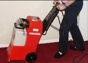 Hiring a professional carpet cleaner