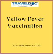 Yellow Fever Vaccination in Liverpool